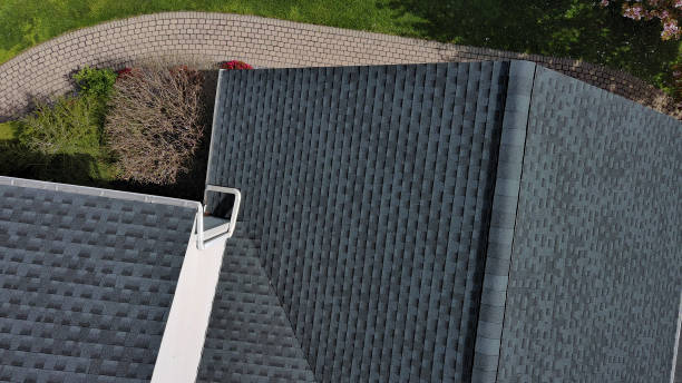 Best Roof Moss and Algae Removal  in Westport, NC