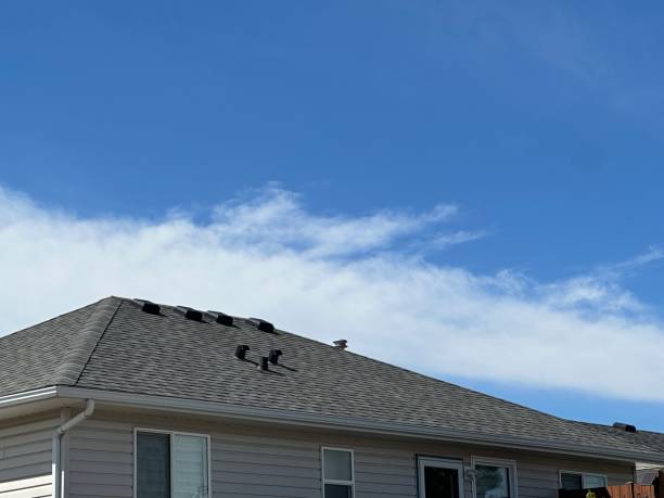 Best Roof Leak Repair  in Westport, NC